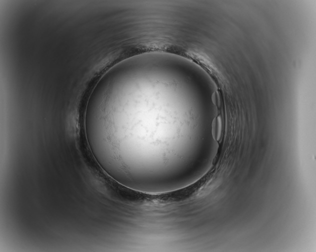 X0000088910634200706081342