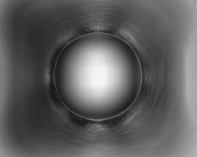X0000088910635200706081342