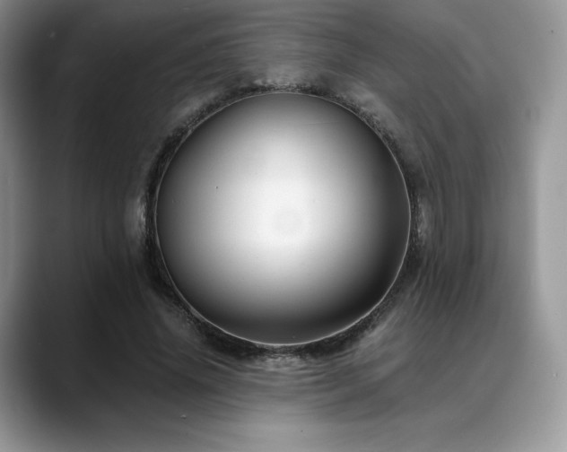 X0000088910636200706081342