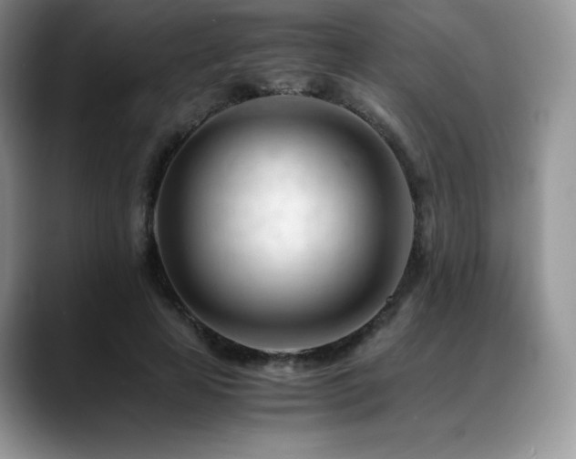 X0000088910641200706081342