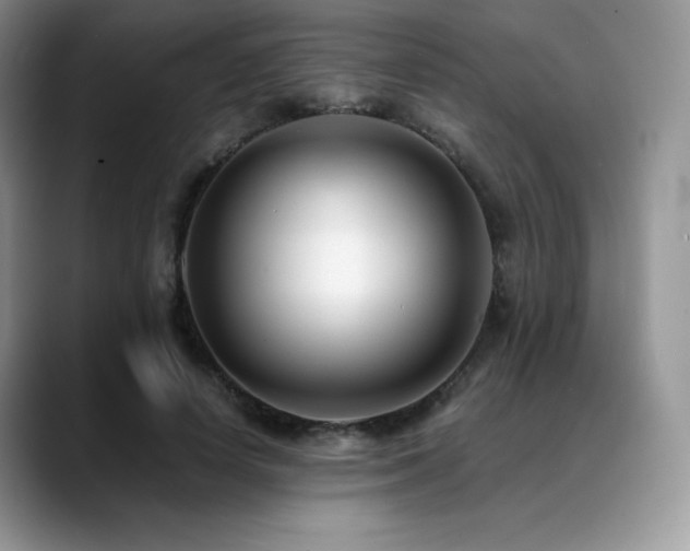 X0000088910642200706081342