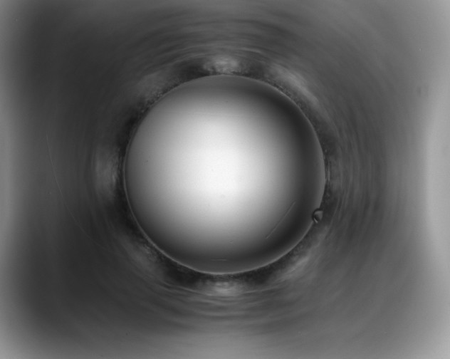 X0000088910645200706081342