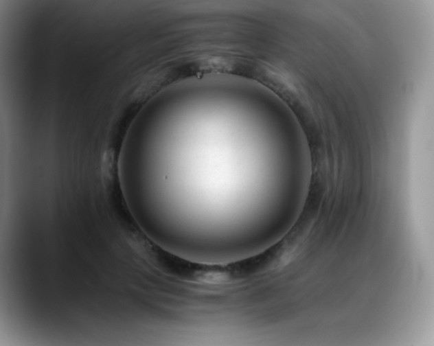 X0000088910649200706081342