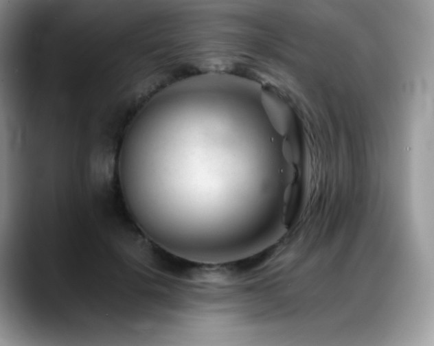 X0000088910652200706081342