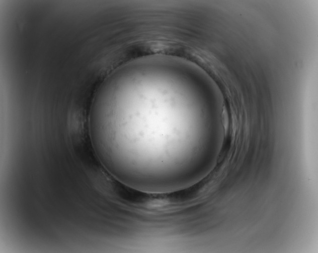 X0000088910653200706081342