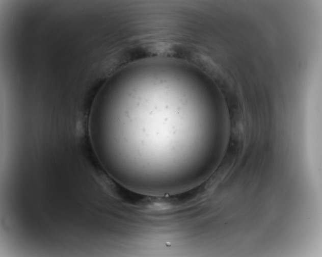 X0000088910658200706081342