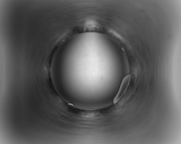 X0000088910661200706081342