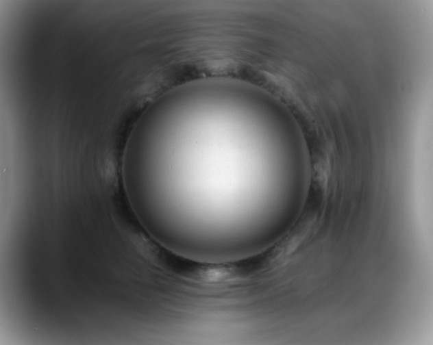 X0000088910662200706081342