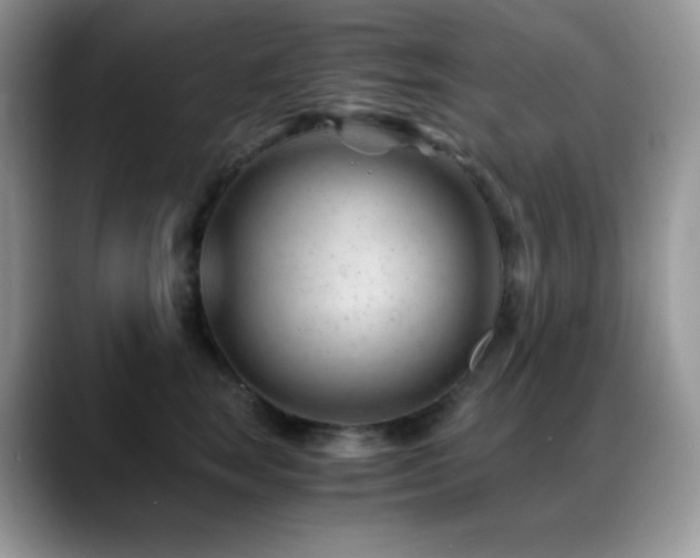 X0000088910663200706081342