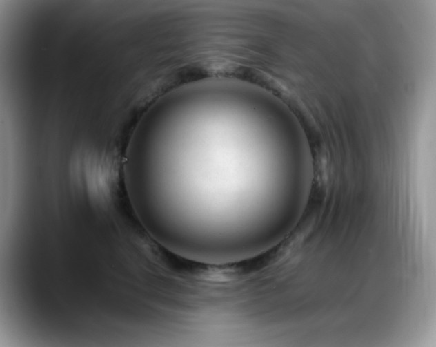 X0000088910664200706081342