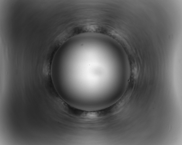 X0000088910665200706081342