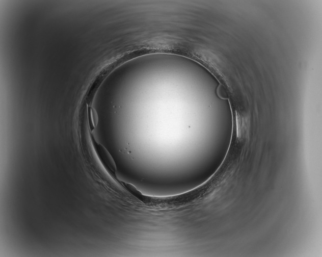 X0000088910675200706081342