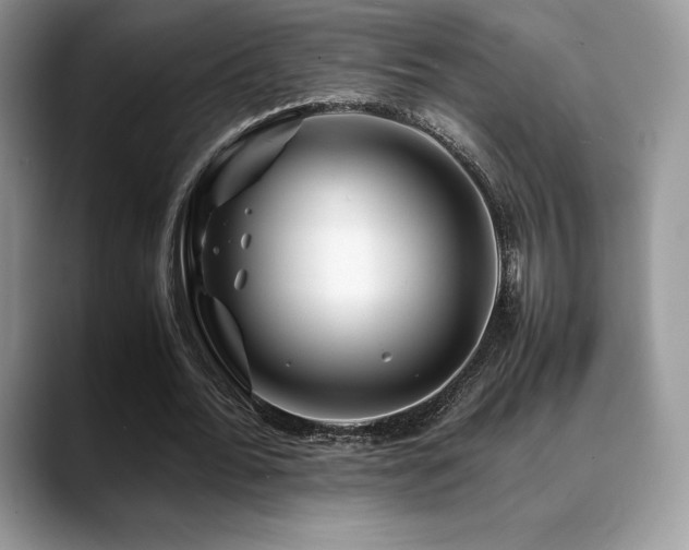 X0000088910676200706081342