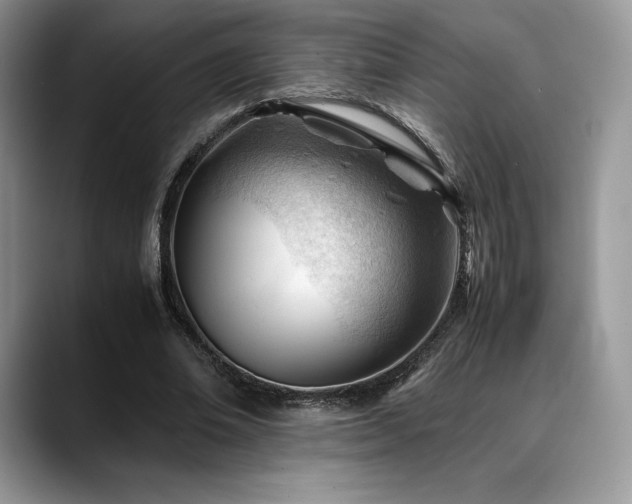 X0000088910678200706081342