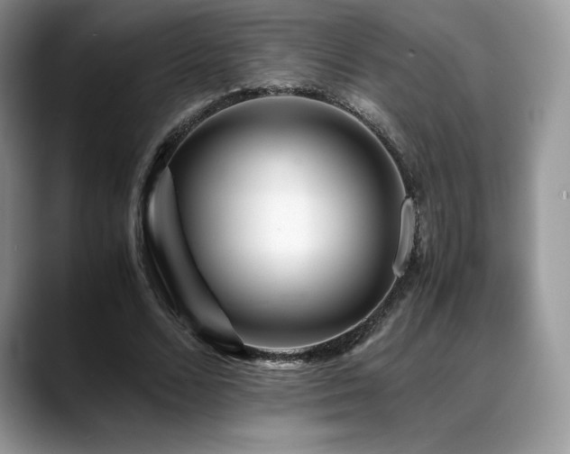 X0000088910680200706081342