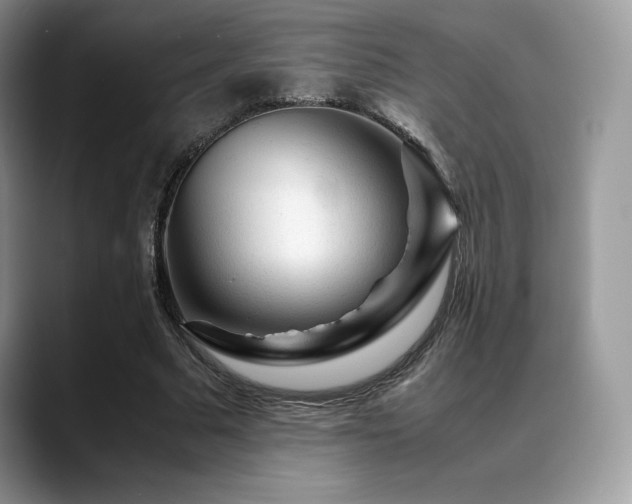 X0000088910681200706081342