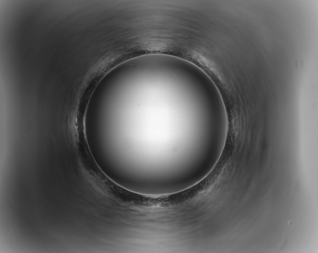X0000088910682200706081342