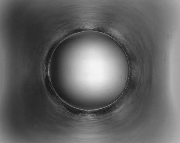 X0000088910683200706081342