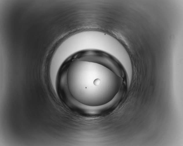X0000088910684200706081342