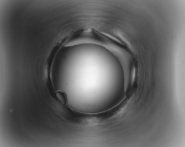 X0000088910685200706081342