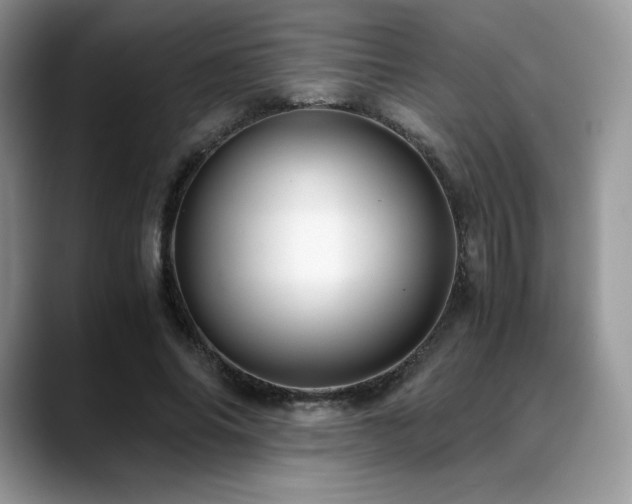 X0000088910686200706081342