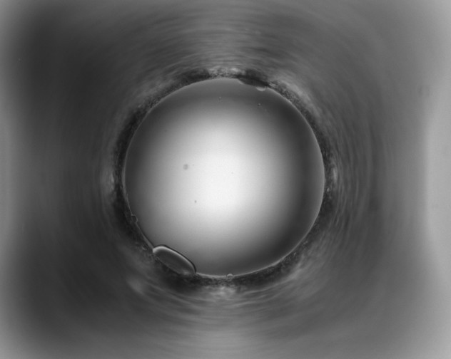 X0000088910687200706081342