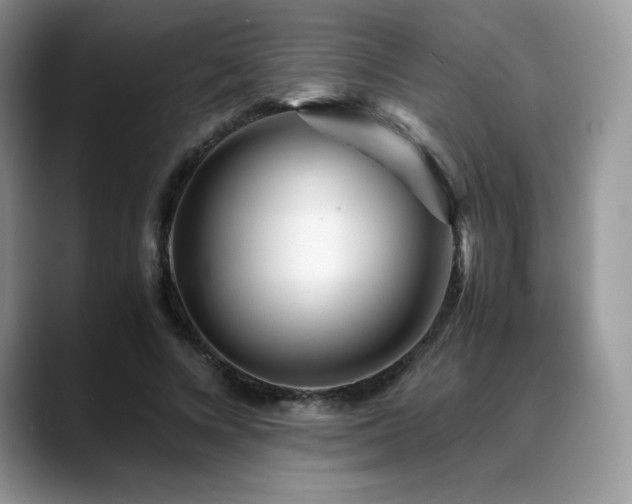 X0000088910688200706081342