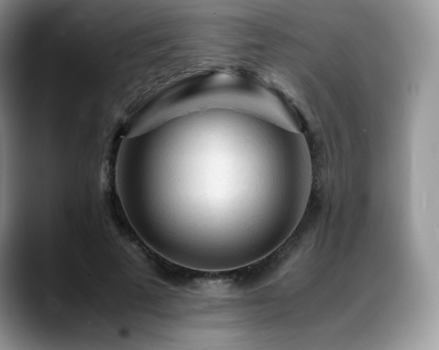X0000088910689200706081342
