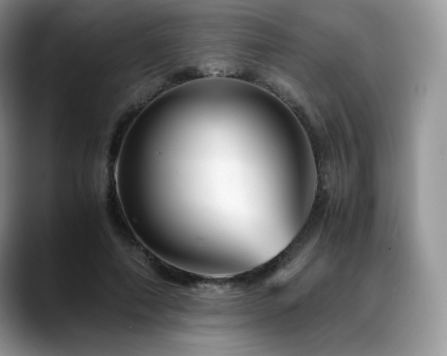 X0000088910690200706081342