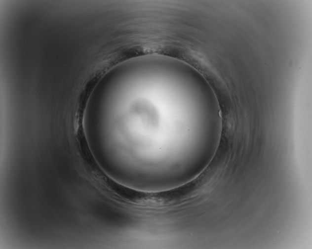 X0000088910691200706081342
