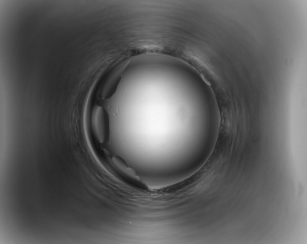 X0000088910692200706081342