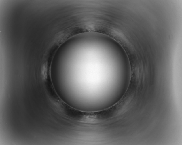 X0000088910694200706081342