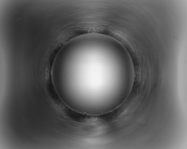 X0000088910695200706081341