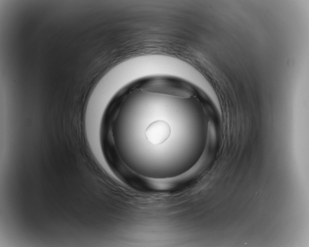 X0000088910696200706081341