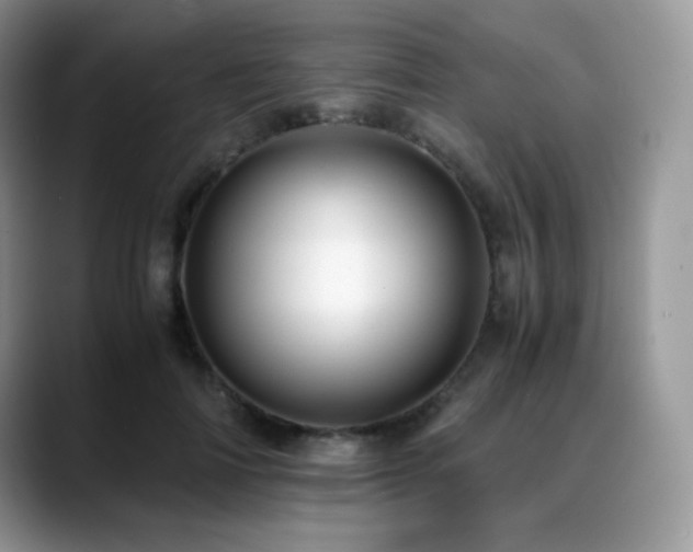 X0000088910698200706081341