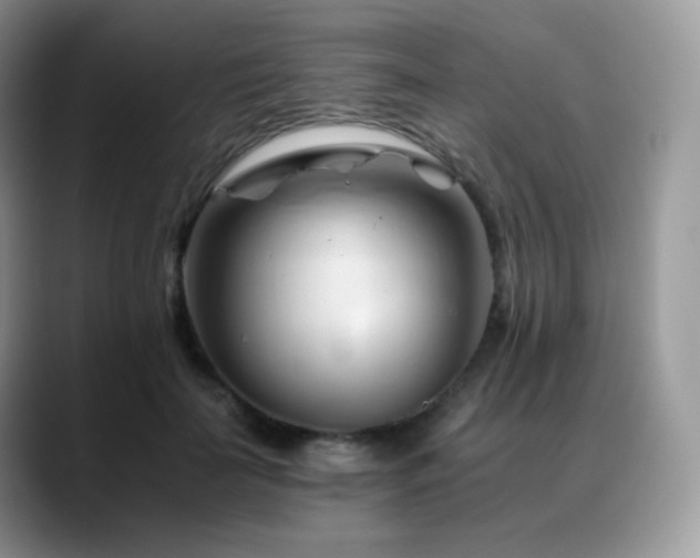X0000088910699200706081341