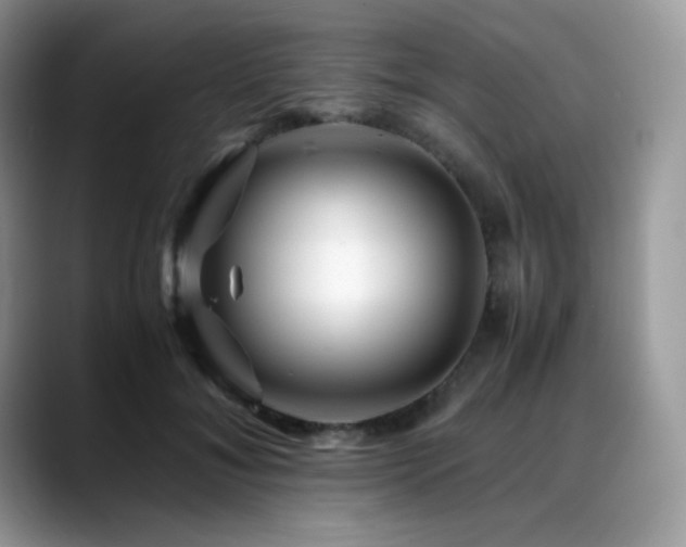 X0000088910700200706081341