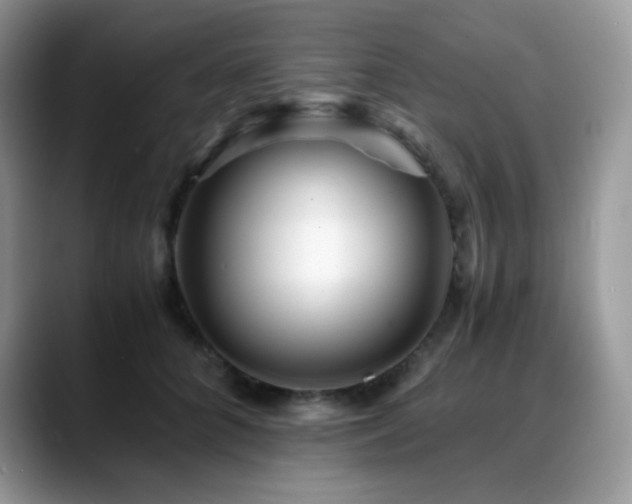 X0000088910704200706081341