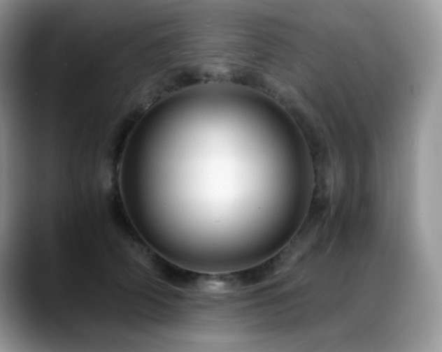 X0000088910706200706081341