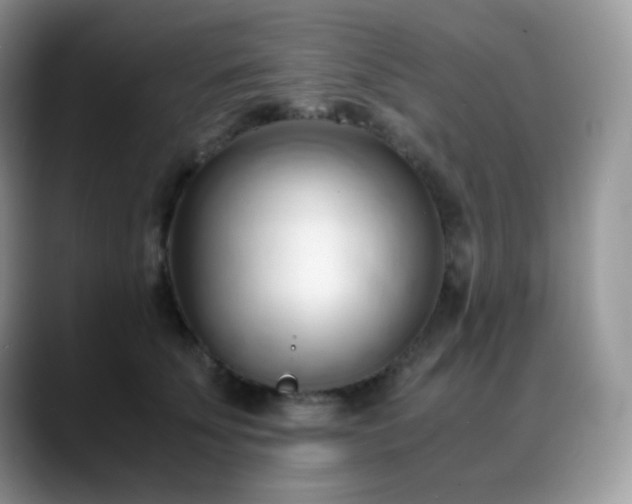 X0000088910707200706081341