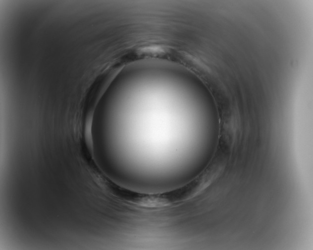 X0000088910708200706081341