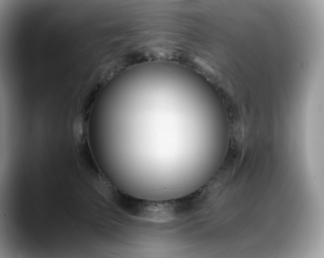 X0000088910709200706081341