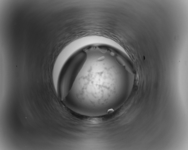 X0000088910711200706081341