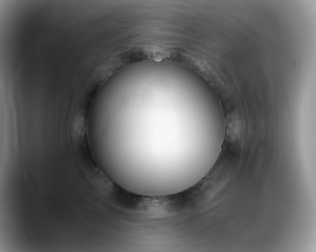 X0000088910713200706081341