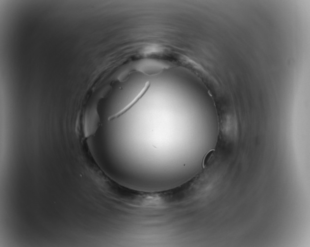X0000088910715200706081341