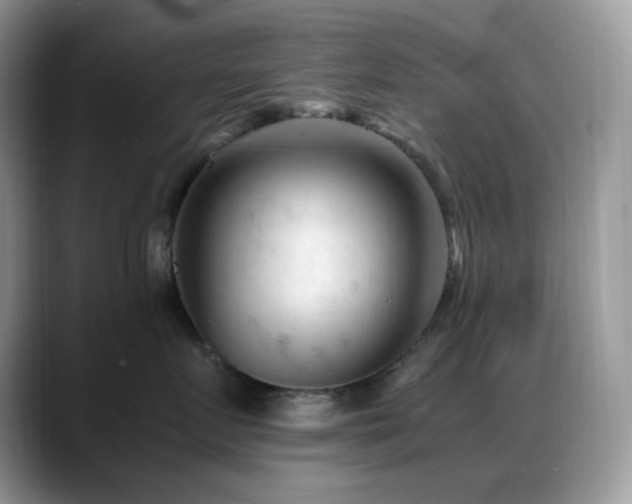 X0000088910719200706081341