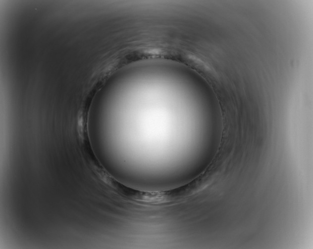 X0000088910720200706081341