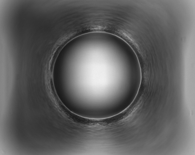 X0000088910721200706081341