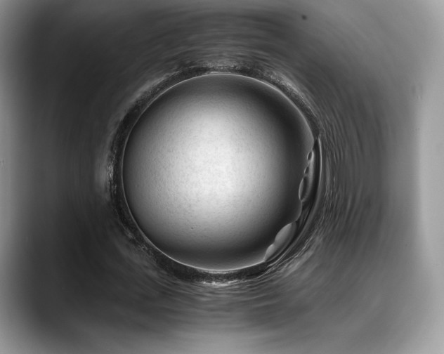 X0000088910723200706081341
