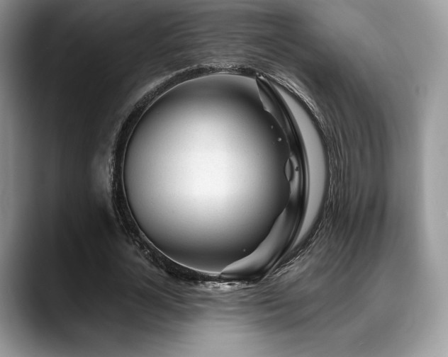 X0000088910724200706081341
